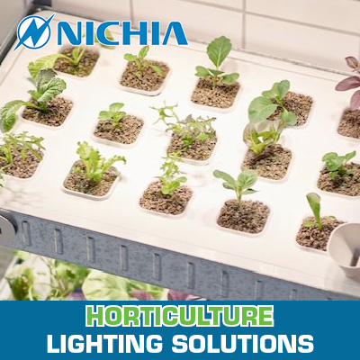 Grow plants 50% better with special white light